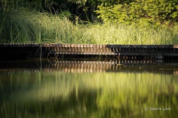 Gartenbau Holzstege Teich