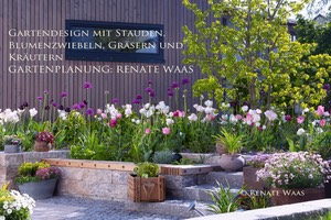 Gartendesign Vorgarten pflegeleicht Stauden Blumenzwiebeln