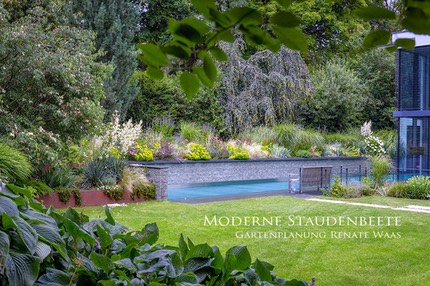 Gartengestaltung-modern Moderner-Garten Staudenbeete Echinacea Gartenplanung Gartendesign Renate-Waas Munechen Rasen Sichtschutzpflanzung Rasenroboter