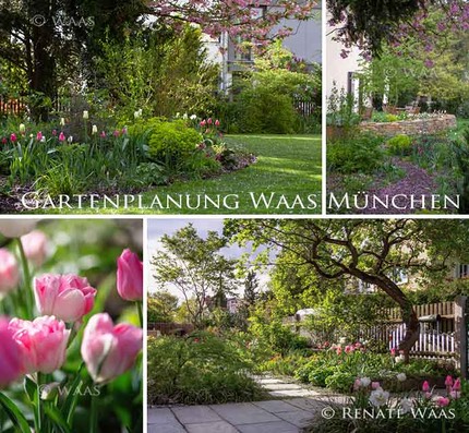 Gartenplanung Waas Landhausgarten Fruehling Gartengestaltung Gartendesign Muenchen Renate Waas 