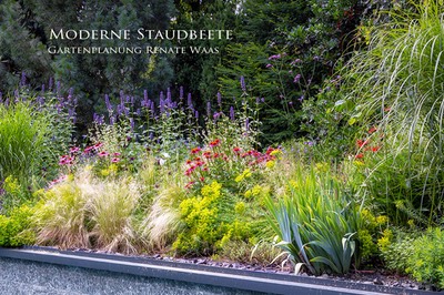 Moderner Garten Staudenbeete Echinacea Gartenplanung Gartendesign Renate Waas Munechen