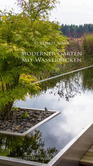 Moderner-Garten Wasserbecken Pool Garten-planen Garten-gestalten Gartengestaltung-Beispiele Fernplanung Renate-Waas