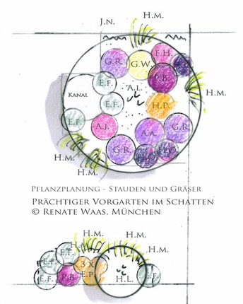 Pflanzplanung Stauden Graeser Hortensien Vorgarten Schatten Waas