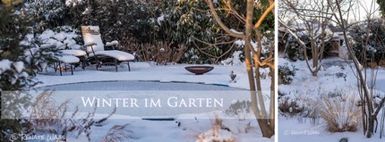 Schoener-Garten-im-Winter