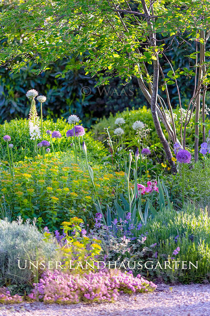 Staudenbeet Gartenplanung
