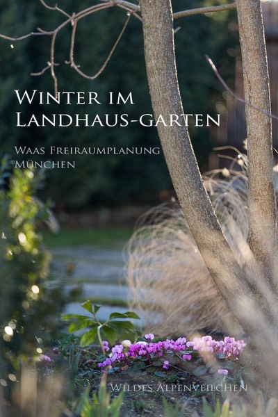 Winter Bauerngarten Cyclamen